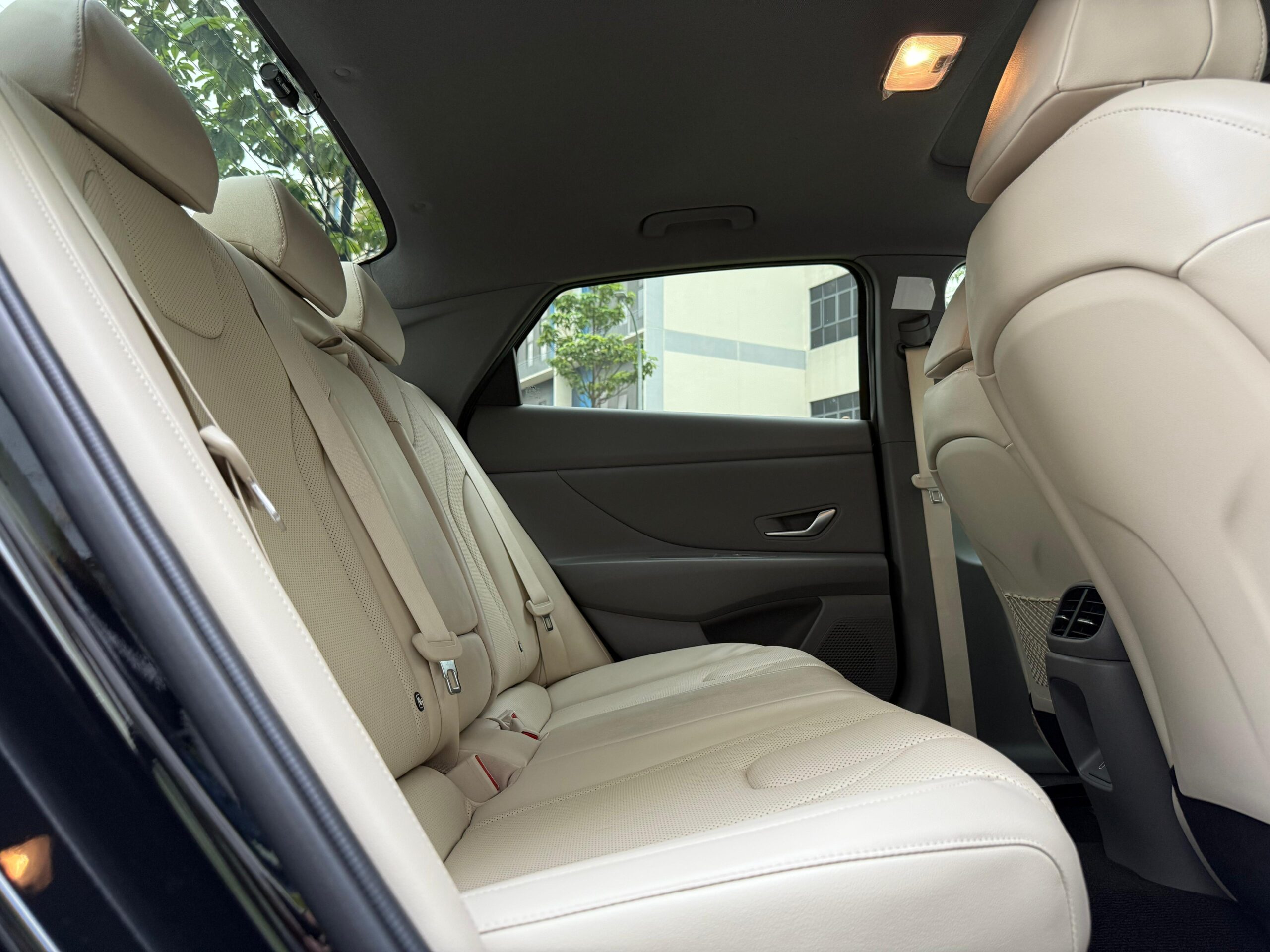 Int Back Seats